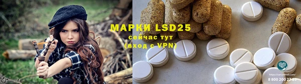 PSILOCYBIN Бородино