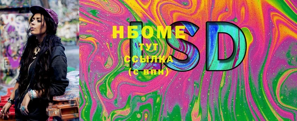 PSILOCYBIN Бородино