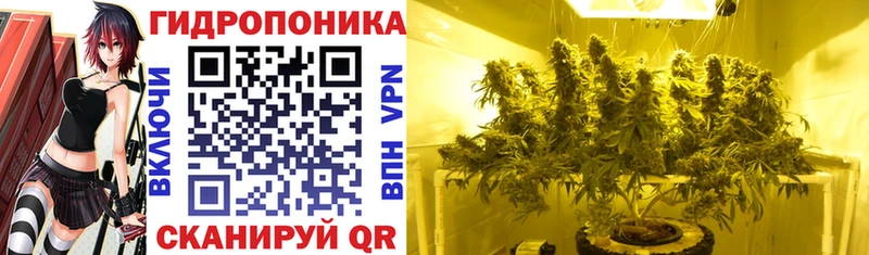 Каннабис AK-47  Карасук 